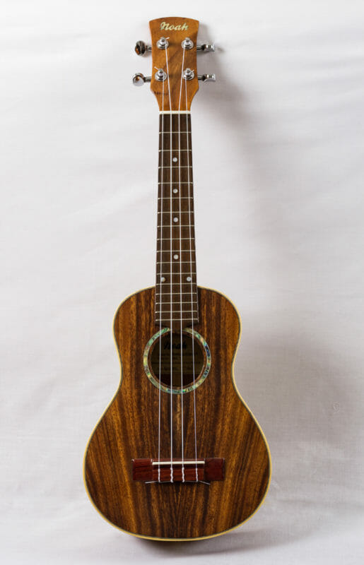 'Uke to Bridge' November Competition Noah Ukuleles
